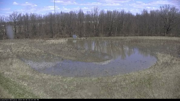 Cell 4_24-04-06_14-07-45-32