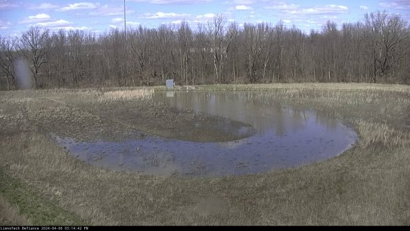 Cell 4_24-04-06_15-14-43-31