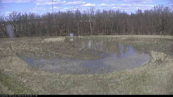 Cell 4_24-04-06_15-48-12-34