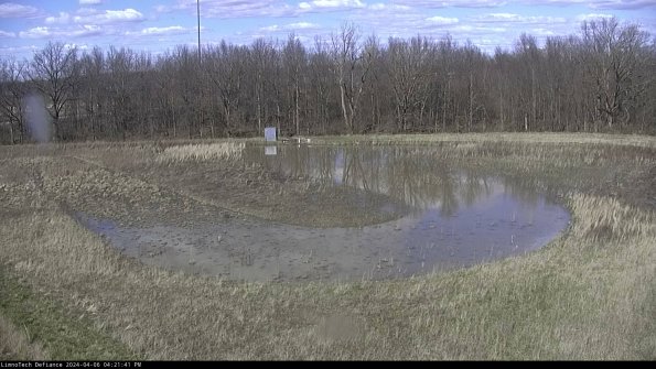 Cell 4_24-04-06_16-21-42-29