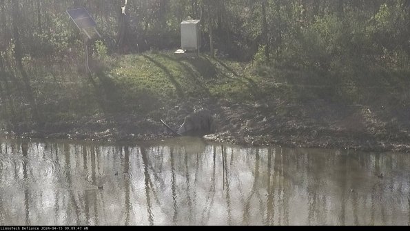 Basin Inflow_24-04-15_09-09-48-42