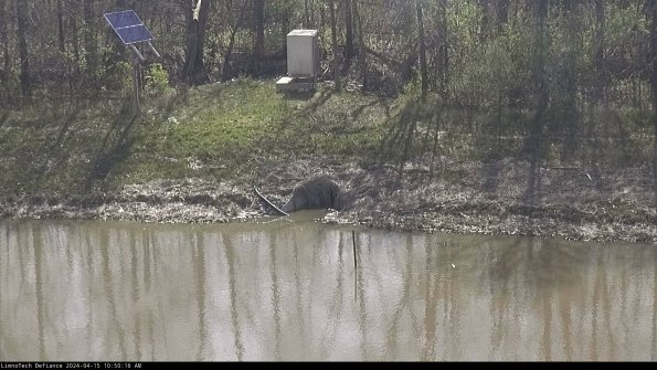 Basin Inflow_24-04-15_10-50-17-32