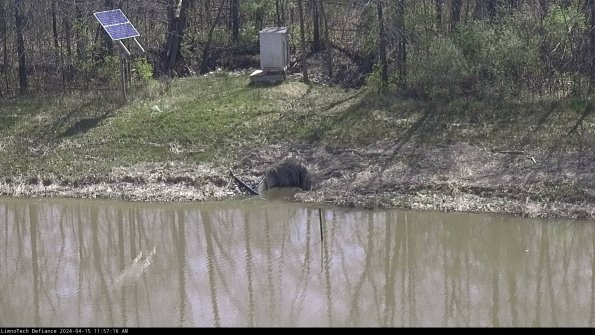 Basin Inflow_24-04-15_11-57-16-49