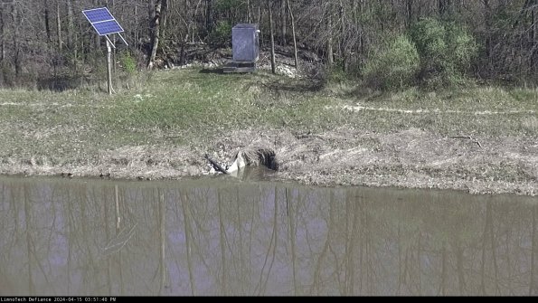 Basin Inflow_24-04-15_15-51-40-50