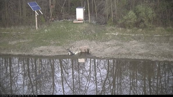 Basin Inflow_24-04-15_20-19-34-35