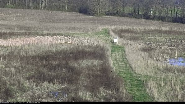 Cell 1 to 2_24-04-15_08-00-44-31