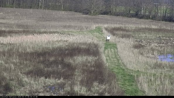 Cell 1 to 2_24-04-15_08-34-14-32