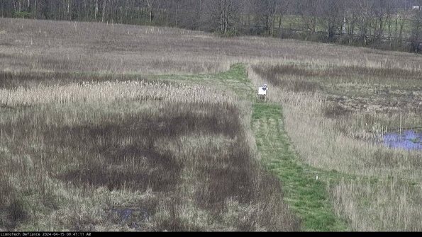 Cell 1 to 2_24-04-15_09-41-12-32