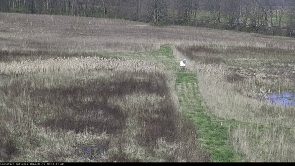 Cell 1 to 2_24-04-15_10-14-42-30