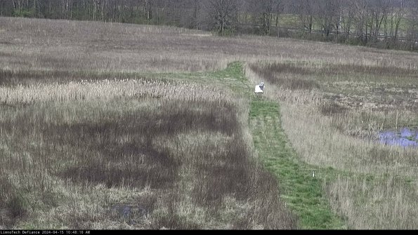 Cell 1 to 2_24-04-15_10-48-11-32