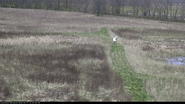 Cell 1 to 2_24-04-15_12-28-41-32