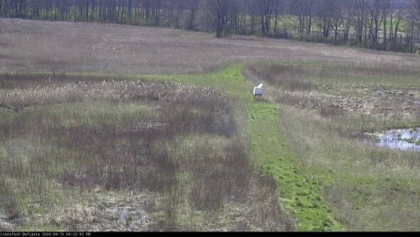 Cell 1 to 2_24-04-15_16-23-04-32