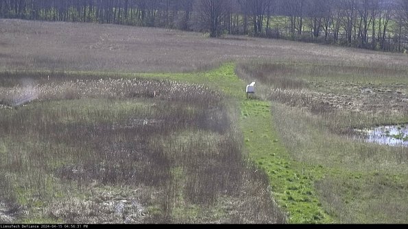 Cell 1 to 2_24-04-15_16-56-32-34