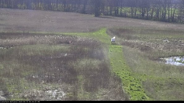 Cell 1 to 2_24-04-15_17-30-02-33