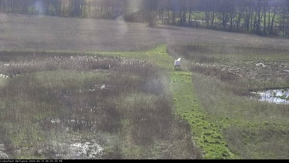 Cell 1 to 2_24-04-15_18-03-31-31