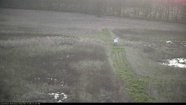 Cell 1 to 2_24-04-15_20-17-28-32