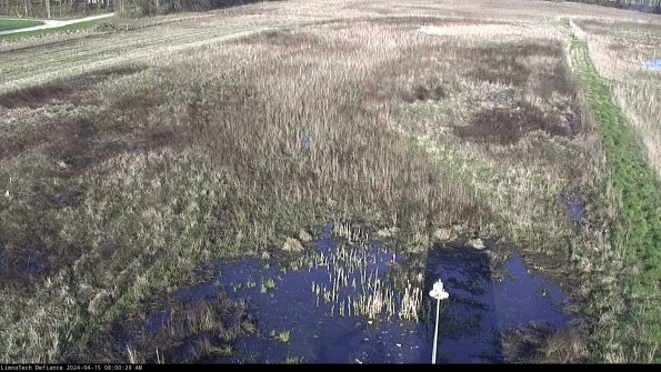 Cell 1_24-04-15_08-00-30-33