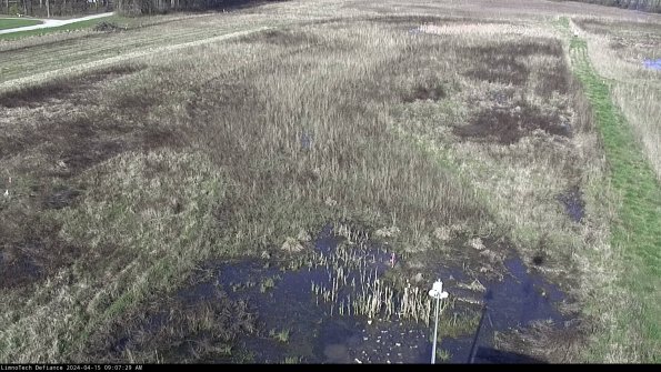 Cell 1_24-04-15_09-07-30-32