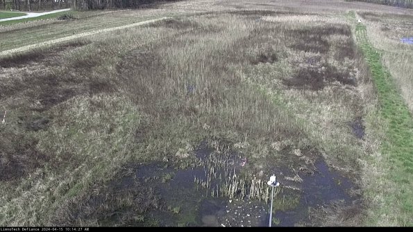 Cell 1_24-04-15_10-14-28-32