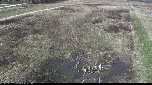 Cell 1_24-04-15_10-47-57-31