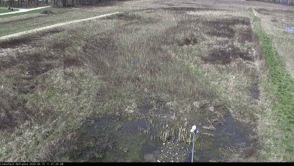 Cell 1_24-04-15_11-21-27-30