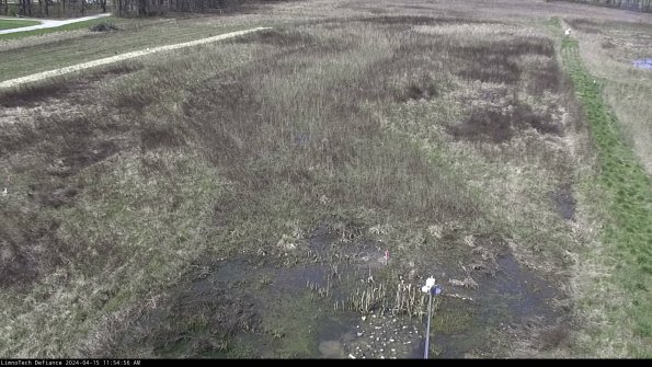 Cell 1_24-04-15_11-54-57-32