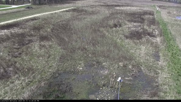 Cell 1_24-04-15_12-28-27-34