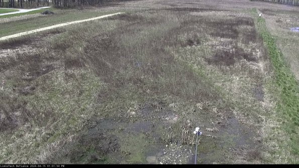 Cell 1_24-04-15_13-01-55-32