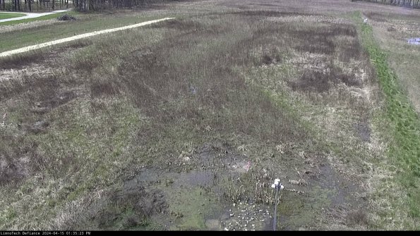 Cell 1_24-04-15_13-35-24-31