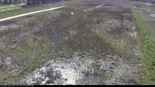 Cell 1_24-04-15_16-22-50-31