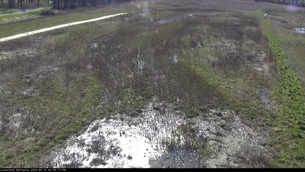 Cell 1_24-04-15_16-56-18-33