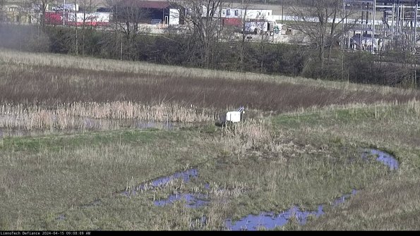 Cell 2 to 3_24-04-15_09-08-10-39