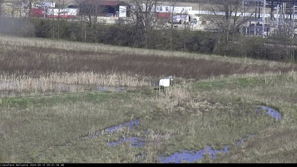 Cell 2 to 3_24-04-15_09-41-38-51