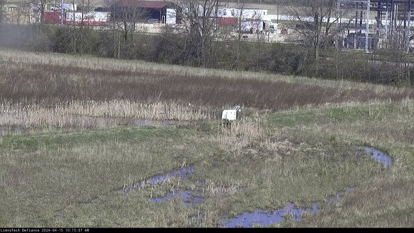 Cell 2 to 3_24-04-15_10-15-08-36