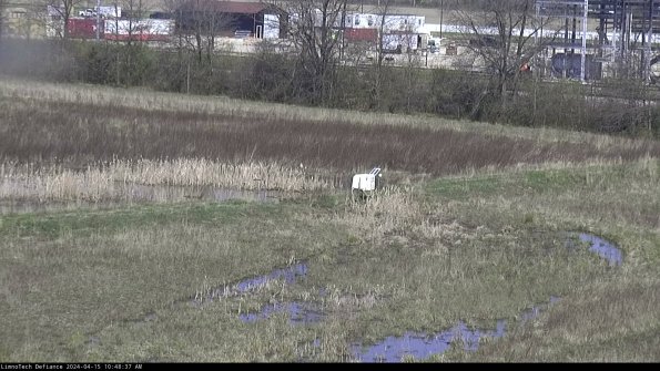 Cell 2 to 3_24-04-15_10-48-37-55