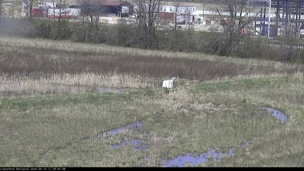 Cell 2 to 3_24-04-15_11-39-05-43