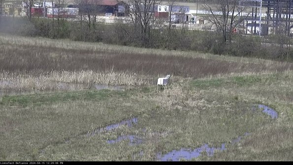 Cell 2 to 3_24-04-15_12-29-07-41