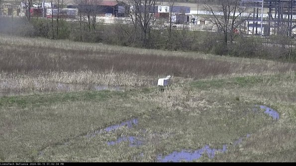 Cell 2 to 3_24-04-15_13-02-35-43