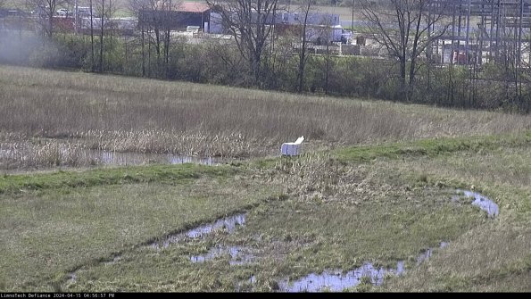 Cell 2 to 3_24-04-15_16-56-58-44