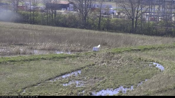 Cell 2 to 3_24-04-15_17-30-28-42