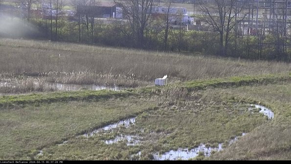 Cell 2 to 3_24-04-15_18-37-26-53