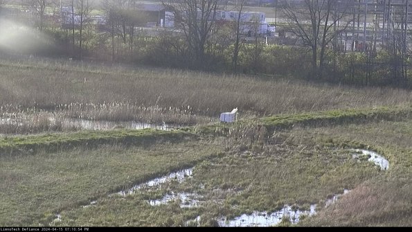 Cell 2 to 3_24-04-15_19-10-55-41