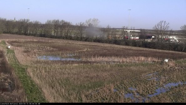 Cell 2_24-04-15_08-00-57-39