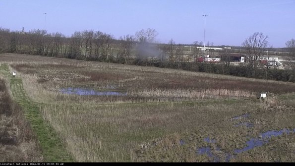 Cell 2_24-04-15_09-07-57-34