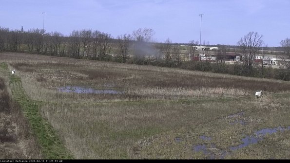 Cell 2_24-04-15_11-21-54-32