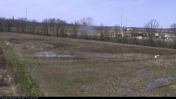 Cell 2_24-04-15_13-35-51-34