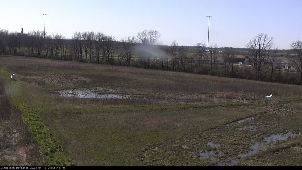 Cell 2_24-04-15_16-56-45-32