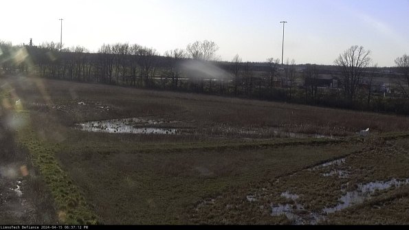 Cell 2_24-04-15_18-37-13-45