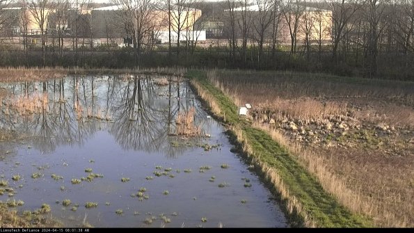 Cell 3 to 4_24-04-15_08-01-39-33