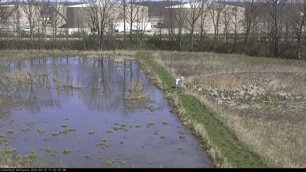 Cell 3 to 4_24-04-15_11-22-36-33